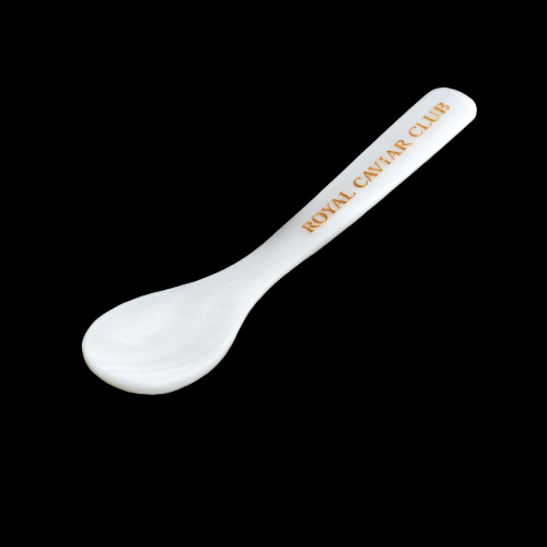 Mother of Pearl Spoon