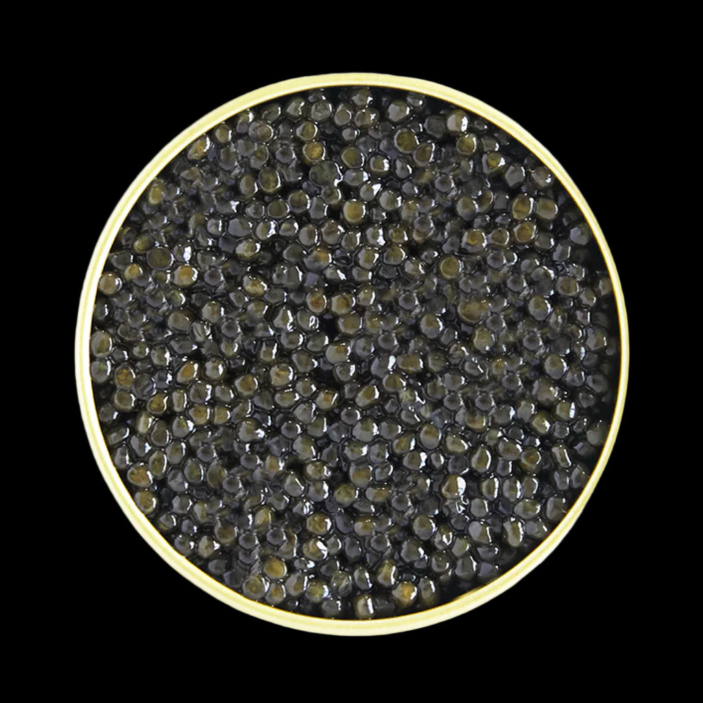 Superior Sturgeon Caviar