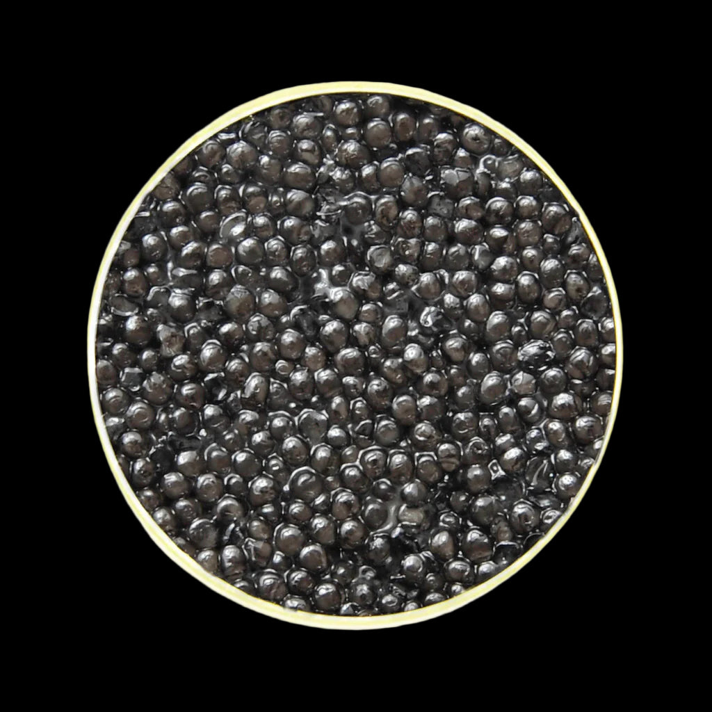 Premium Baerii Caviar